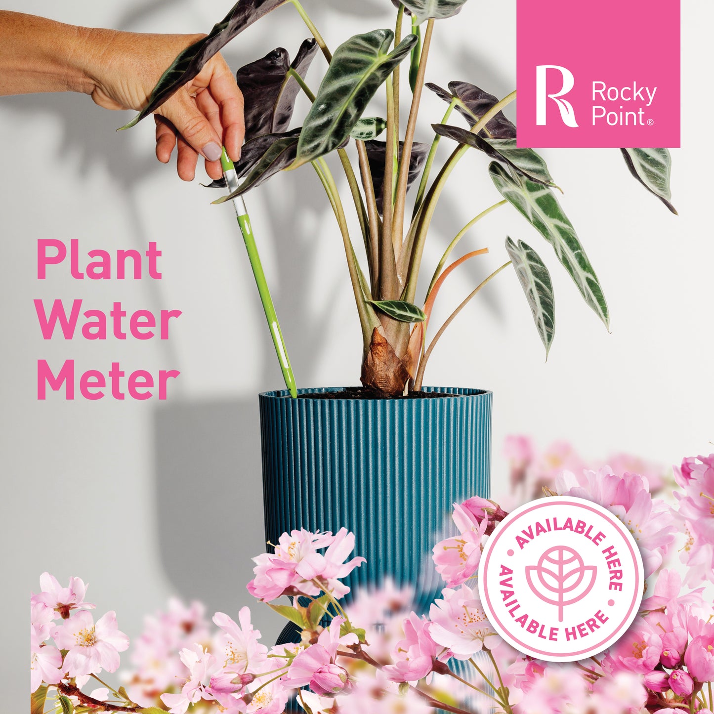 Indoor Plant Care Pack