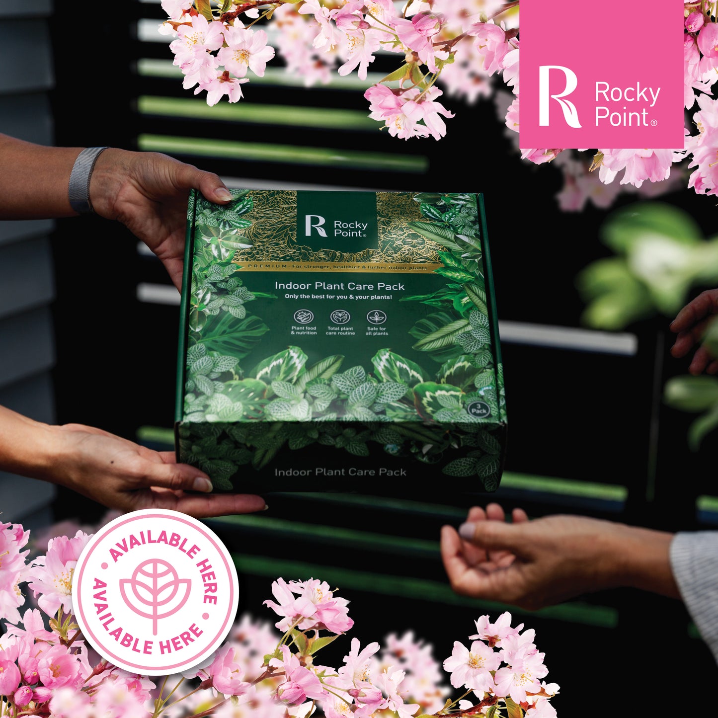 Indoor Plant Care Pack