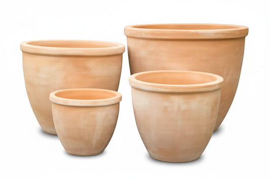 Terracotta Rim Egg Pot