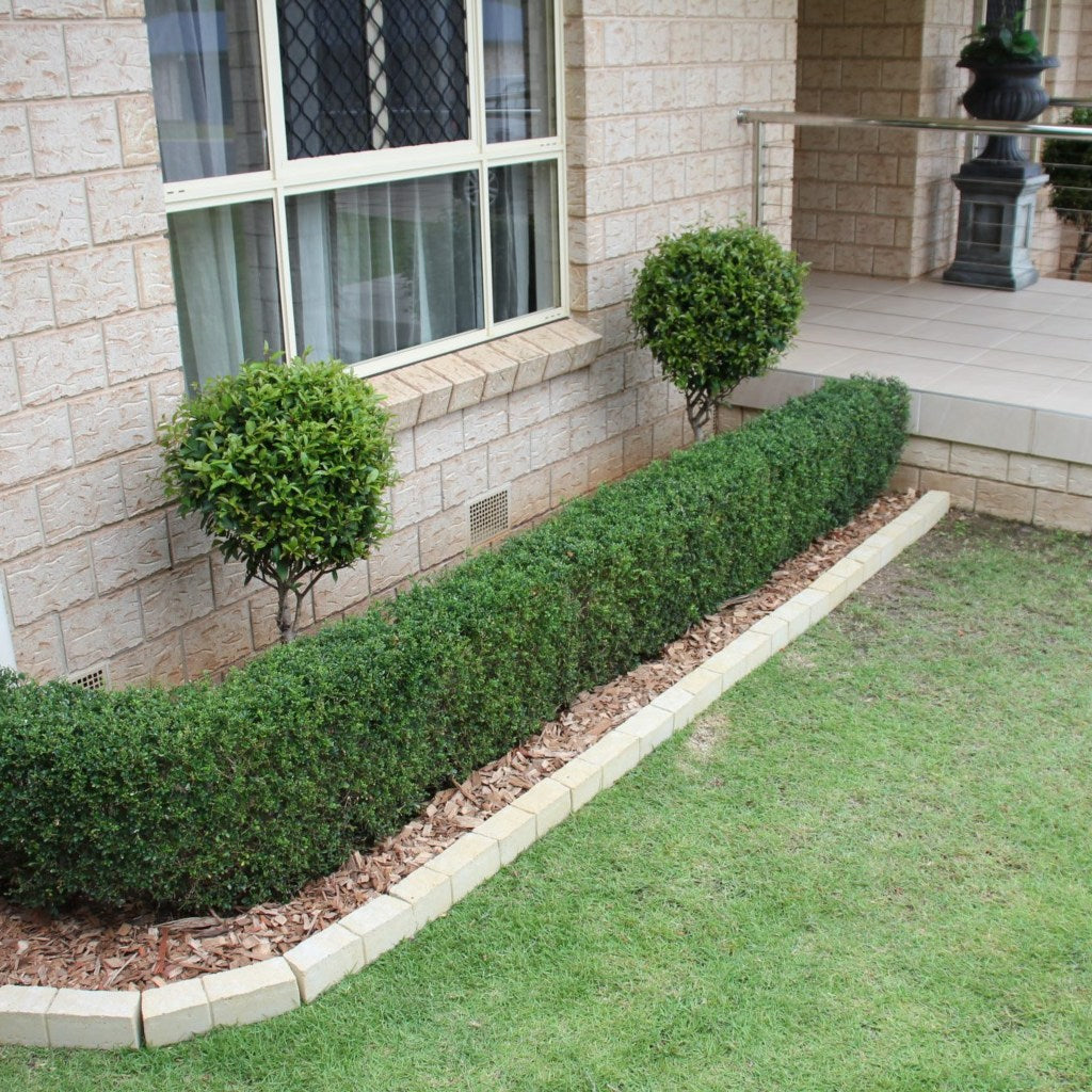 Apex Masonry Vivid Edge Pavers Slate