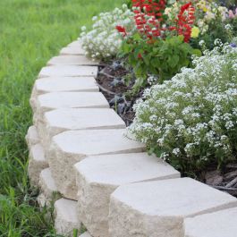 Classic Wall Paver - Ivory