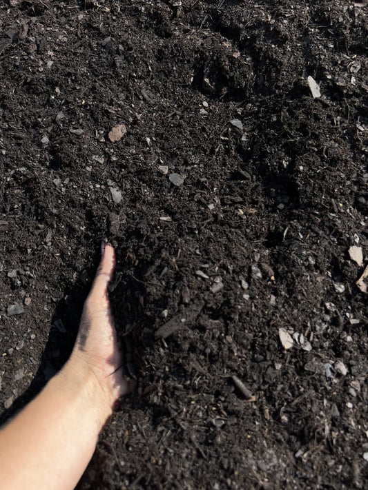Black Gold Soil