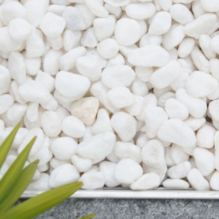 Snow White Pebbles 20-30mm