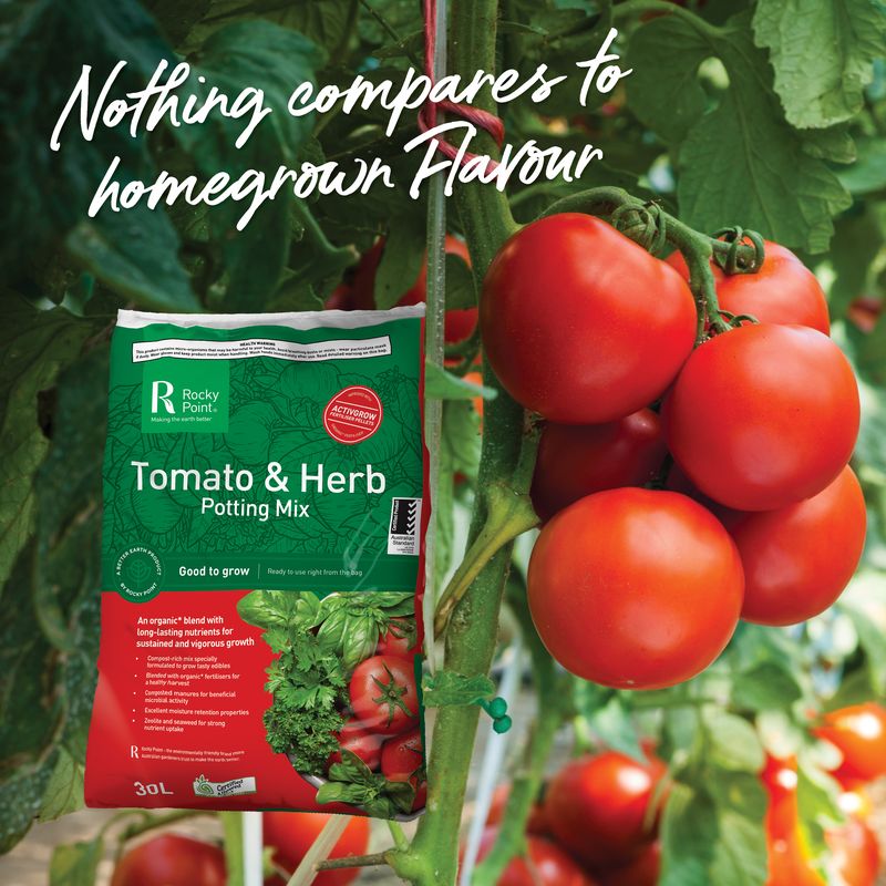Tomato & Herb Potting Mix