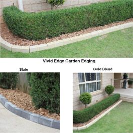 Vivid Edge Pavers - Gold Blend